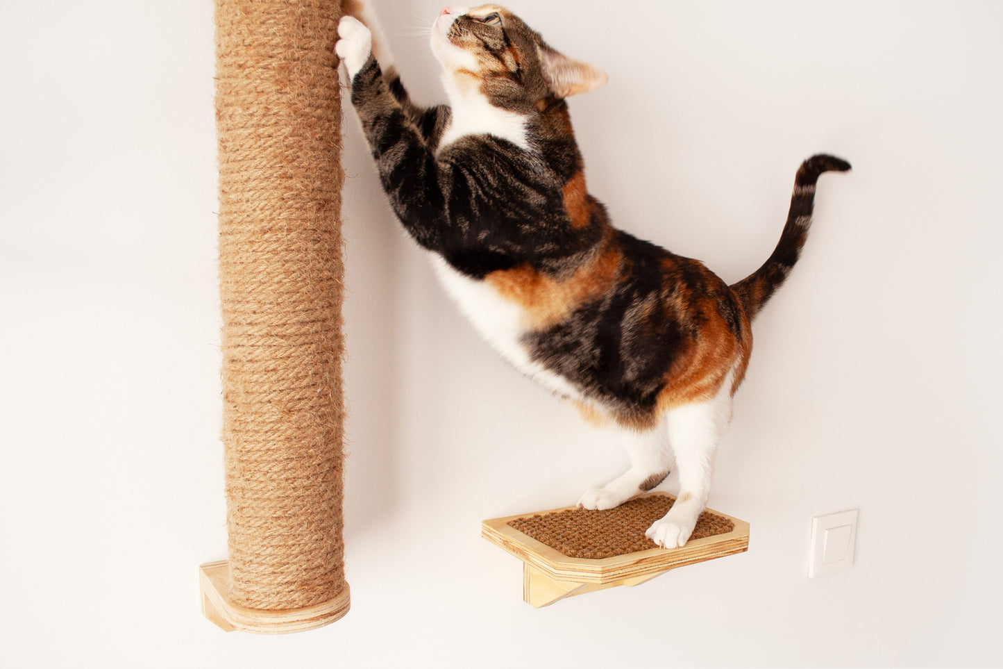Escalón para gatos Pi π (modelo SIMBA)