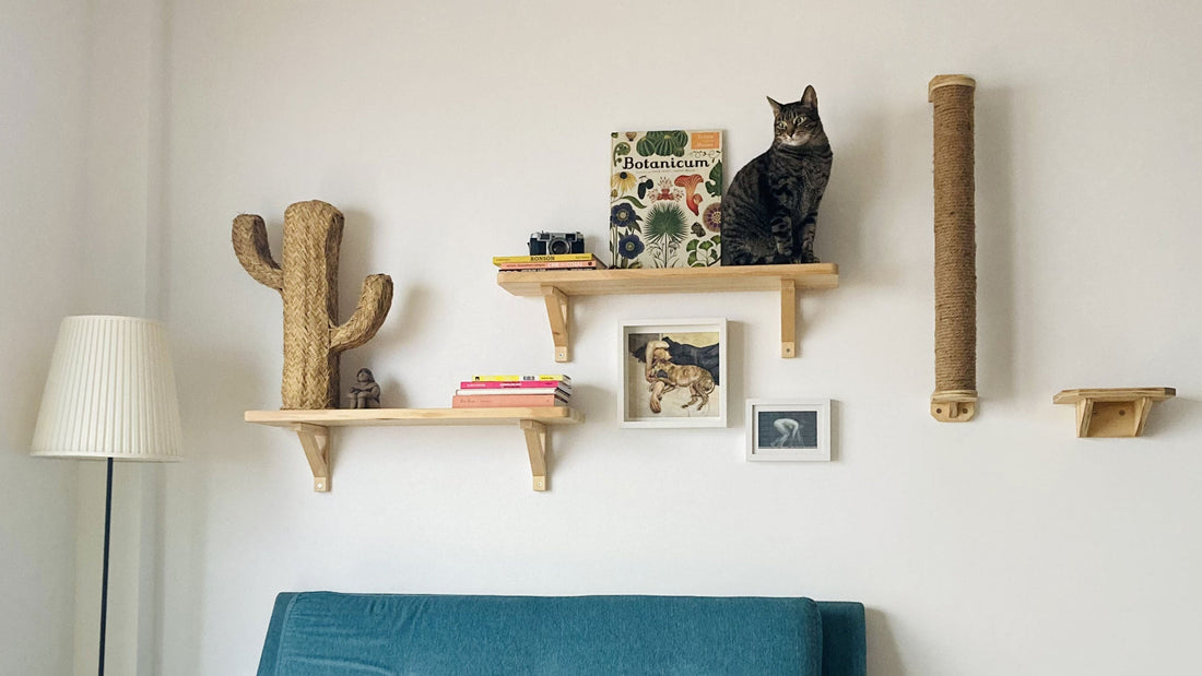 Rulo Liana y Escalón Pi integrados en la decoración de un hogar - Gatificación vertical - Gatifica