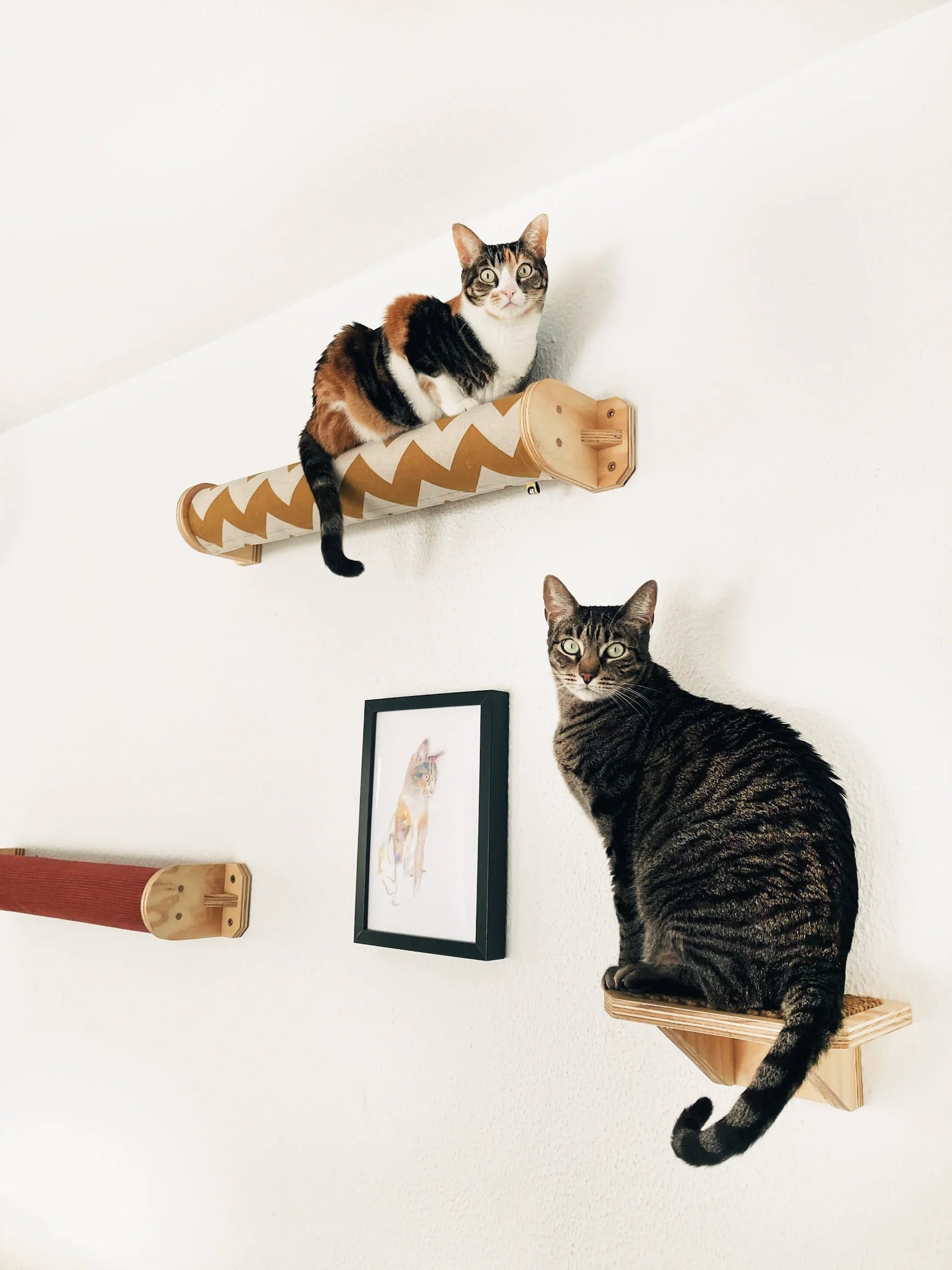 Parques de pared para gatos
