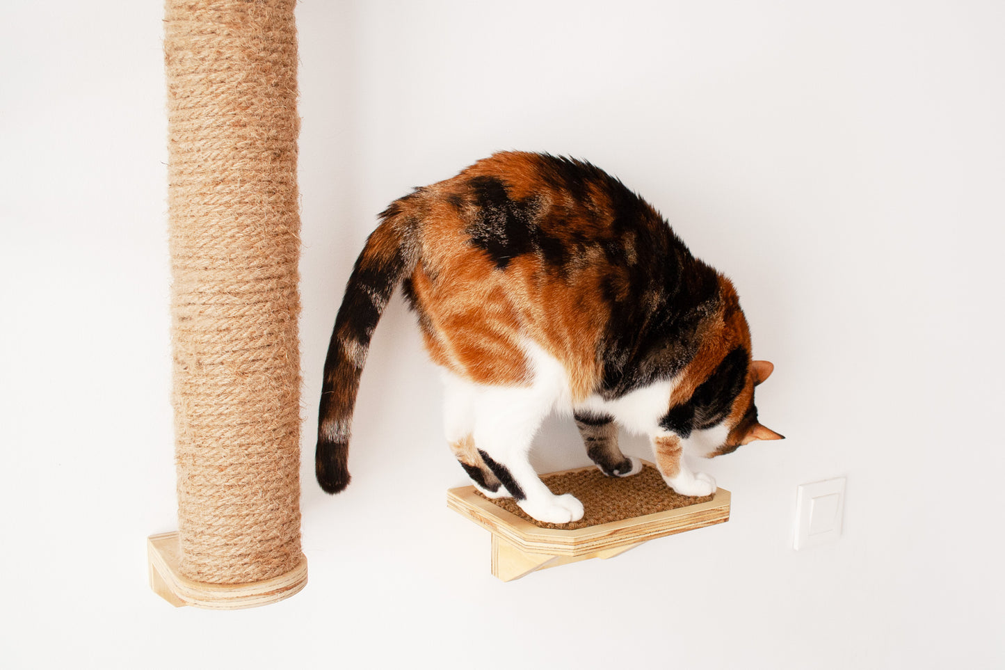 Escalón para gatos Pi π (modelo SIMBA)