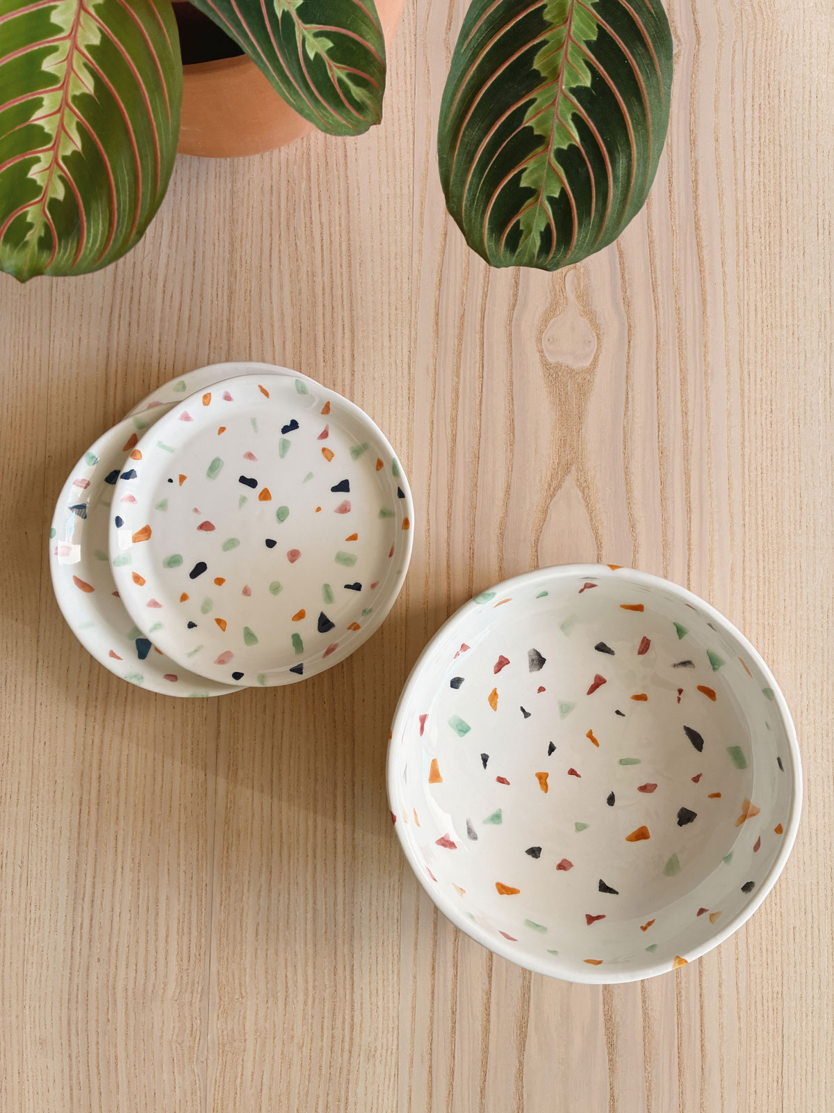 Vajilla cerámica para gatos La Isleta – Terrazo