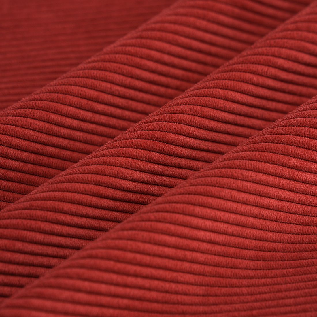 Fundas rulo CLEO gatifica - pana roja new